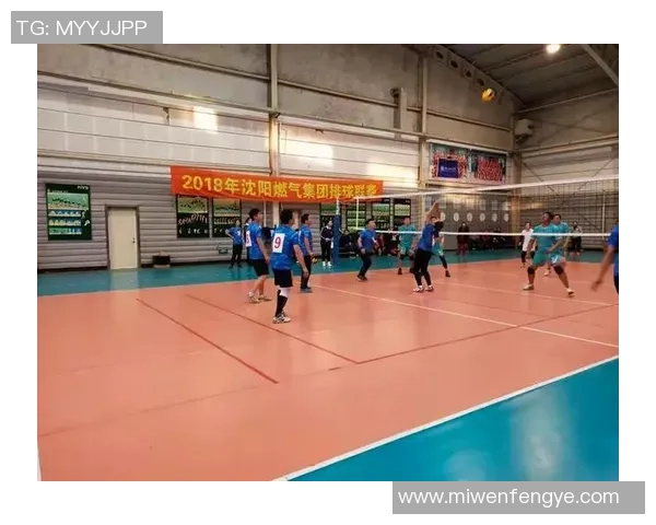 排球实力榜单更新上海排球队荣膺第二名展现强劲实力