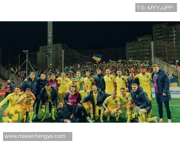 波黑足球明星盘点他们在国际赛场上的辉煌成就与影响力