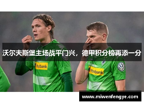 沃尔夫斯堡主场战平门兴，德甲积分榜再添一分