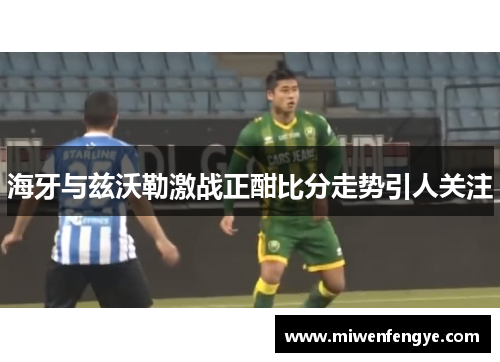 海牙与兹沃勒激战正酣比分走势引人关注