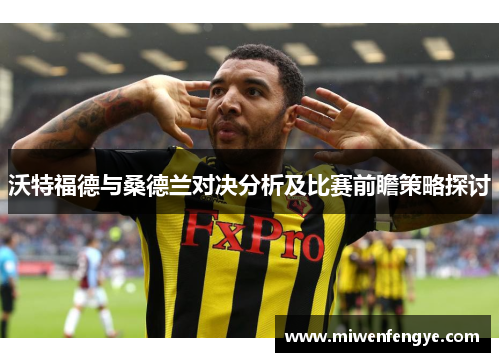 沃特福德与桑德兰对决分析及比赛前瞻策略探讨