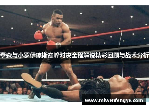 泰森与小罗伊琼斯巅峰对决全程解说精彩回顾与战术分析